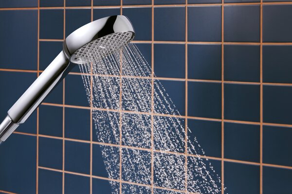 Hansgrohe Select S duș de mână crom 28033000