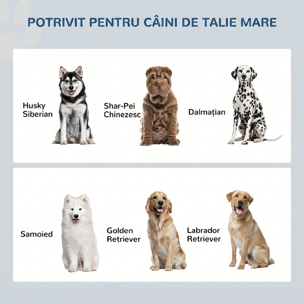 Boluri Înălțate PawHut pentru Câini Mari cu Dulap de Depozitare 44L, Suport Înălțat pentru Hrănirea Confortabilă a Câinilor | Aosom Romania