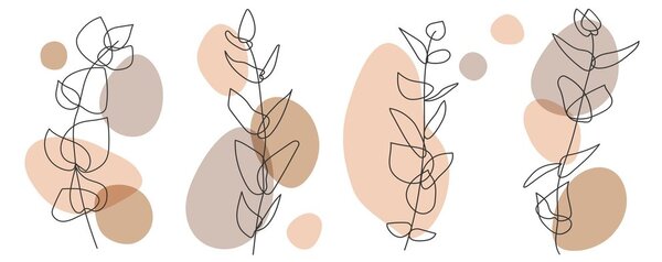 Tablou natura moartă minimalistă ale plantelor