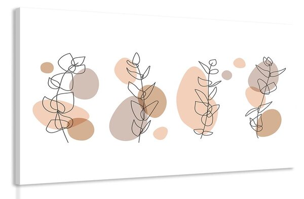 Tablou natura moartă minimalistă ale plantelor