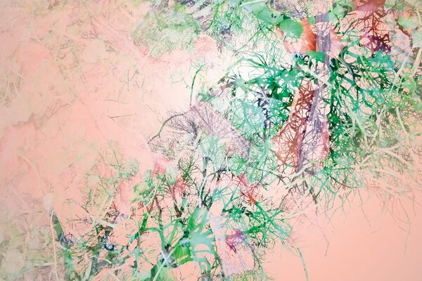 Tapet ramuri abstracte