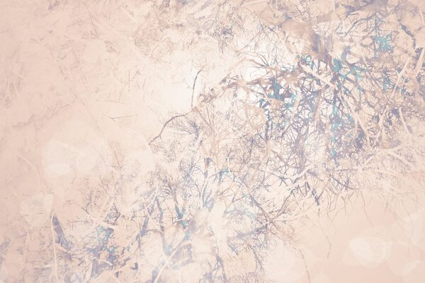 Tapet ramuri abstracte bej