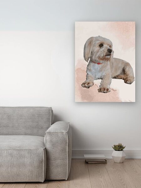 Tablou Canvas personalizat color