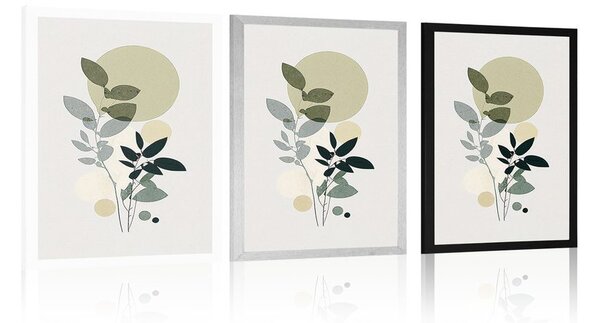 Poster plante în design boho