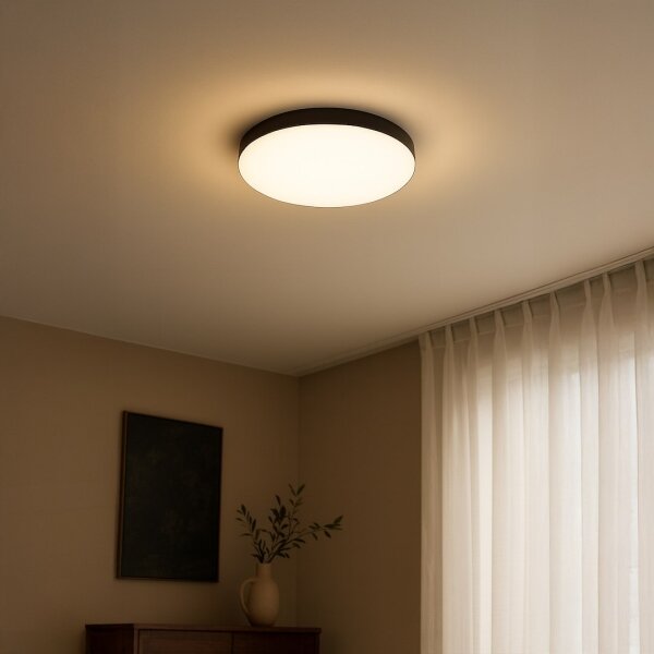 Plafonieră LED pentru baie MAYA LED/15W/230V IP44 neagră