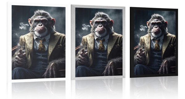 Poster gangster animal cimpanzeu