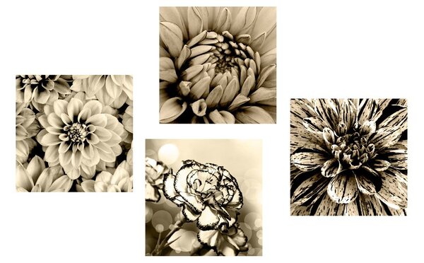 Set de tablouri flori în design sepia