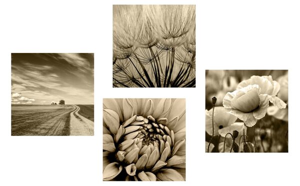 Set de tablouri câmp cu flori în design sepia