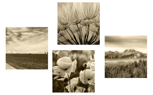 Set tablouri peisaj sepia cu flori