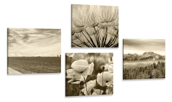 Set tablouri peisaj sepia cu flori