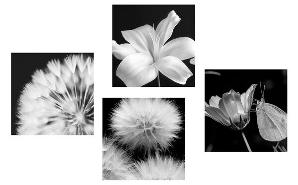 Set tablouri frumusețea florilor în alb-negru cu fluture