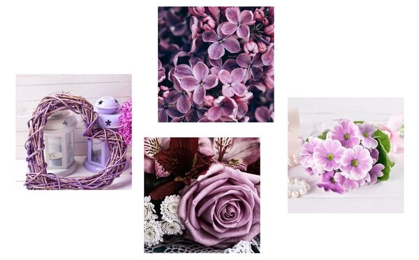 Set tablouri natura moartă de lavandă cu flori