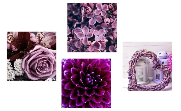 Set tablouri flori violete cu inimioară