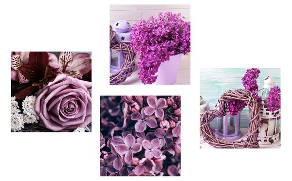 Set tablouri natura moartă de liliac