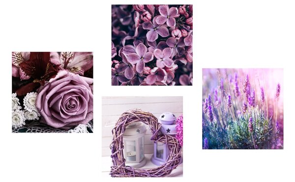 Set tablouri flori violete frumoase cu inimioară