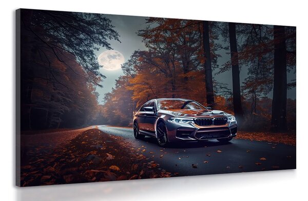 Tablou BMW în lună plină