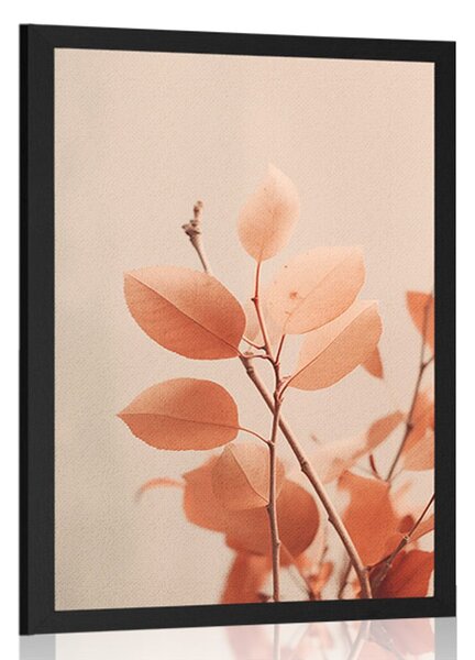 Poster crenguțe frunzelor Peach Fuzz