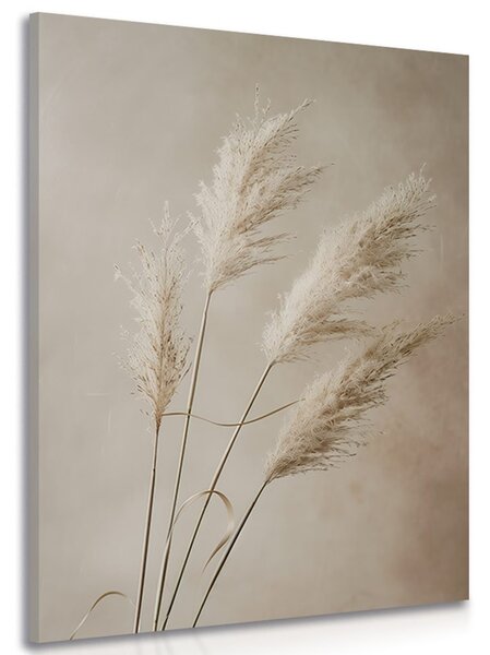 Tablou iarba uscată de pampas