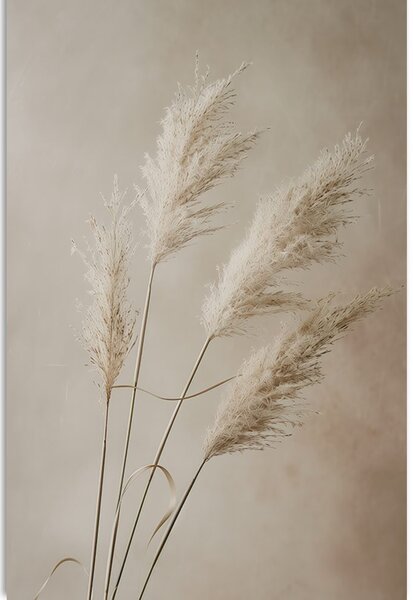 Tablou iarba uscată de pampas