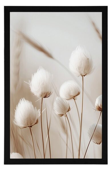 Poster tulpini de bumbac