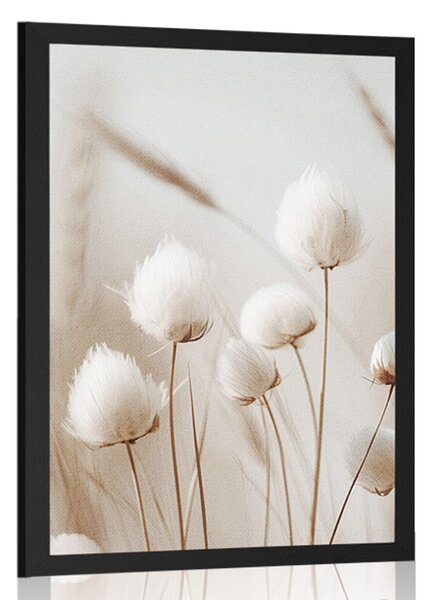 Poster tulpini de bumbac