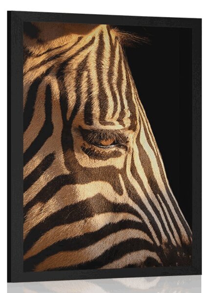 Poster portretul unei zebre