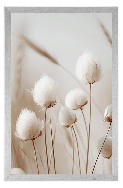 Poster tulpini de bumbac