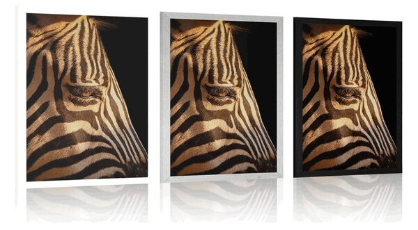 Poster portretul unei zebre