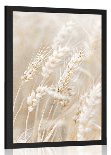 Poster tulpini de grâu