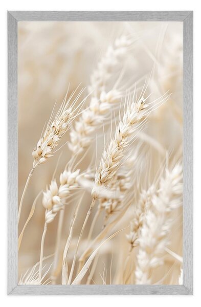 Poster tulpini de grâu