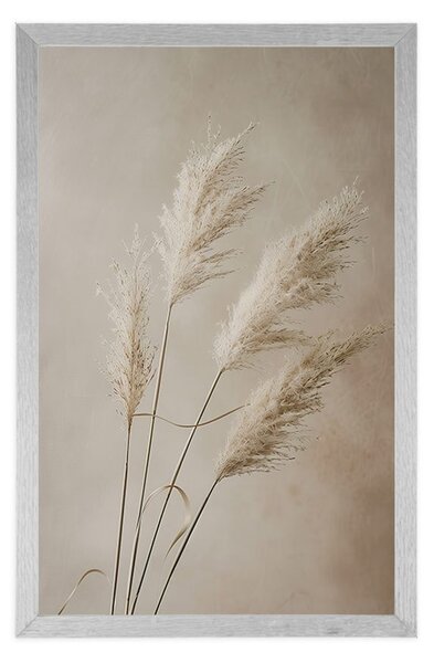 Poster iarba uscată de pampas