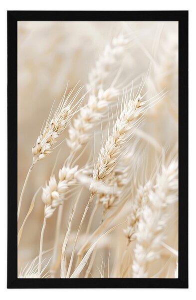 Poster tulpini de grâu