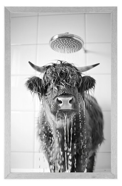 Poster vacă la duș