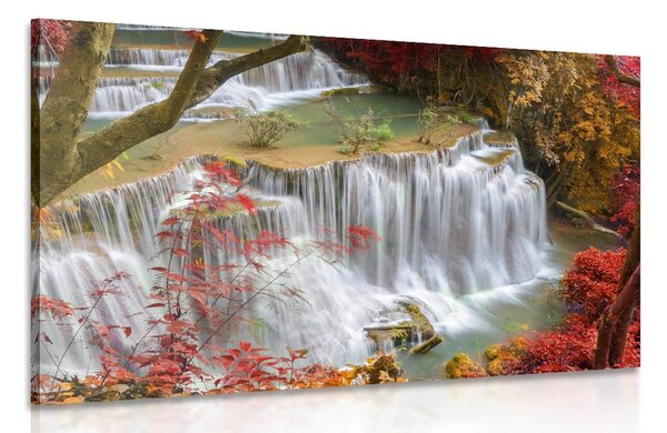 Tablou cascada forestieră