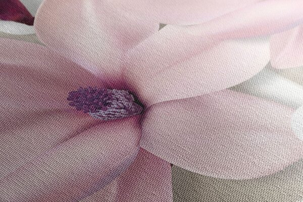 Tablou floare magnolie pe fundal abstract