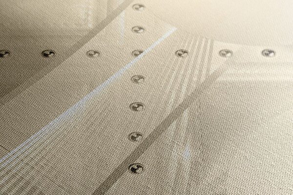 Tablou lux alb în design sepia