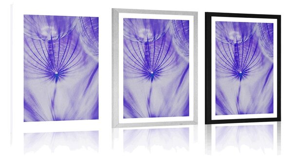 Poster cu passepartout păpădie în design violet