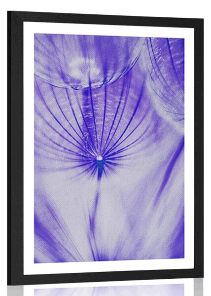 Poster cu passepartout păpădie în design violet