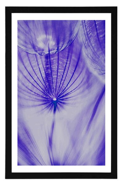 Poster cu passepartout păpădie în design violet
