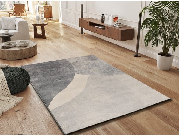 Covor gri 140x200 cm Monic – Universal