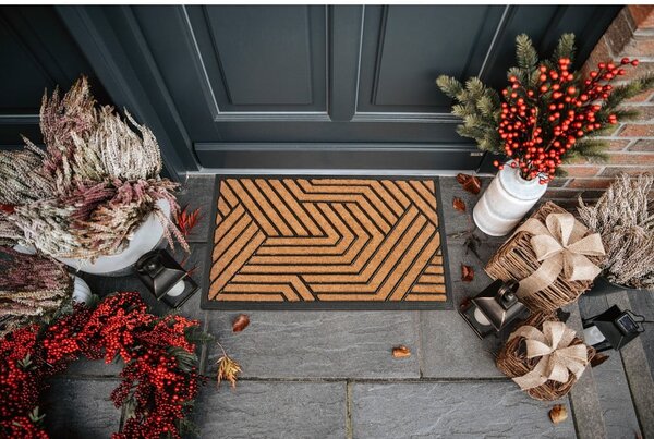 Covoraș de intrare din fibre de nucă de cocos 45x75 cm Labyrinth – Hanse Home