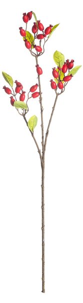 Decorațiune cu trandafiri sălbatici 70cm