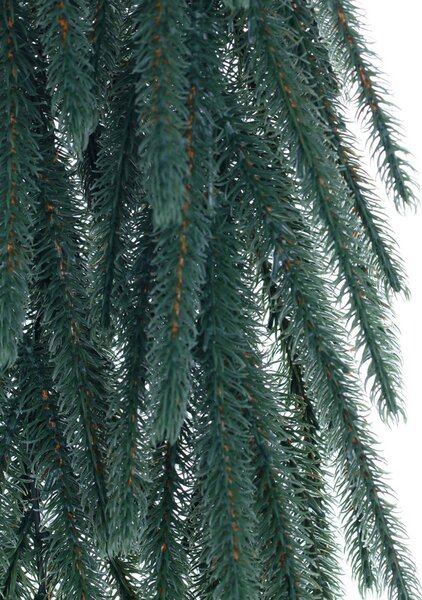 Ramură Pine Tree 30x10x70cm