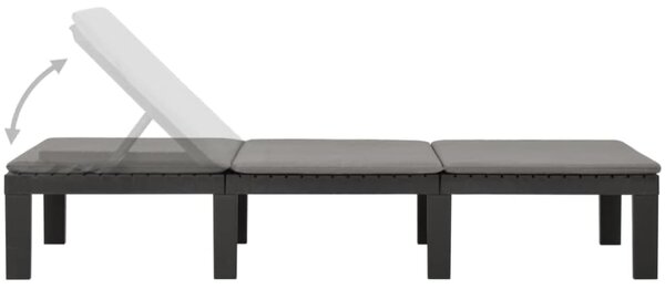 Șezlong de grădină HAITI cu saltea, 65×195×78cm, antracit I.P.A.E-Progarden