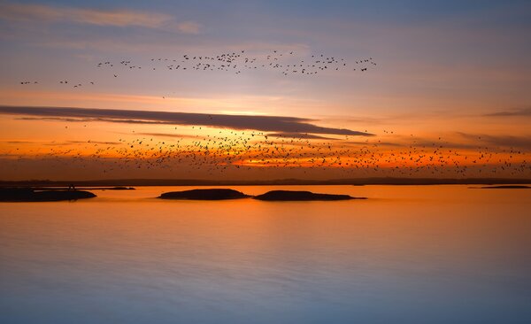 Fotografie de artă by sunset, Piotr Krol (Bax), (40 x 24.6 cm)