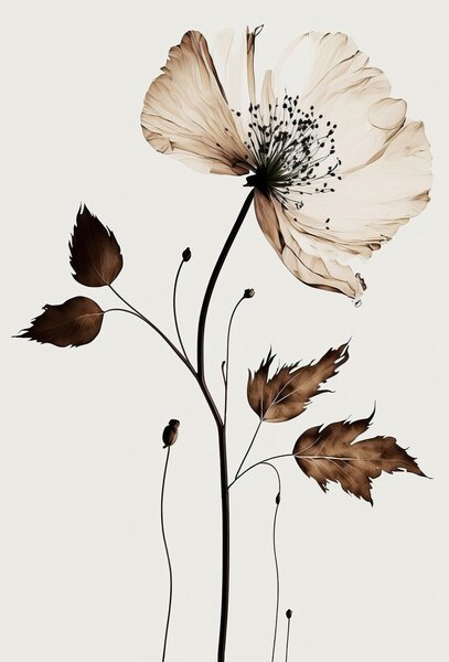 Ilustrație The Coffee Flower, Treechild, (26.7 x 40 cm)