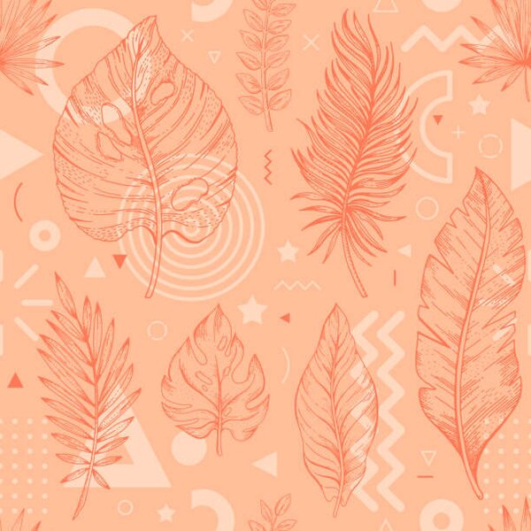 Fotografie de artă 2024 peach palm leaf color pattern., o-che, (40 x 40 cm)