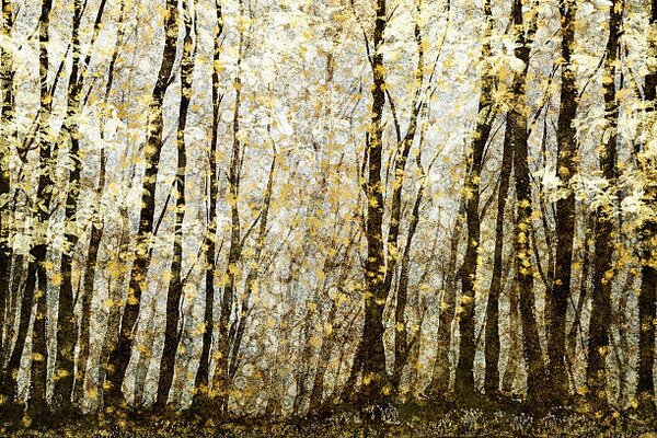 Ilustrare Forest filed with golden autumn leaves, Andrew Bret Wallis, (40 x 26.7 cm)