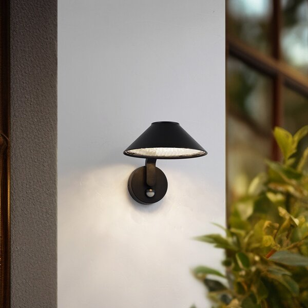 Lămpi de exterior Lindby, Capelo, Negru, Balcon, Aluminiu, Modern