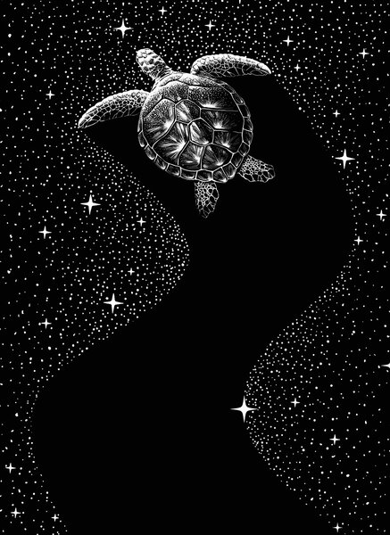 Ilustrare Starry Turtle, Aliriza Cakir, (30 x 40 cm)